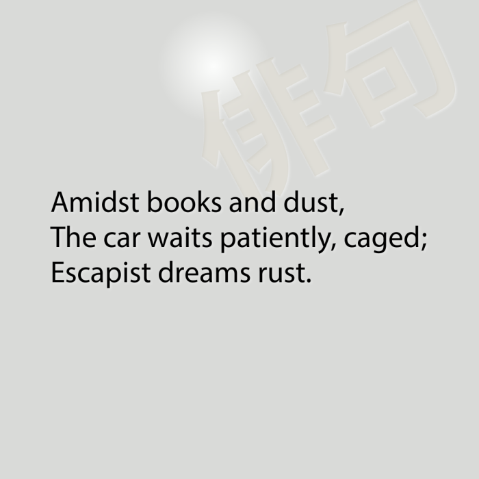 Amidst books and dust, The car waits patiently, caged; Escapist dreams rust.