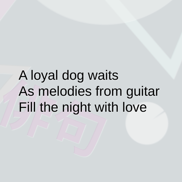 A loyal dog waits As melodies from guitar Fill the night with love