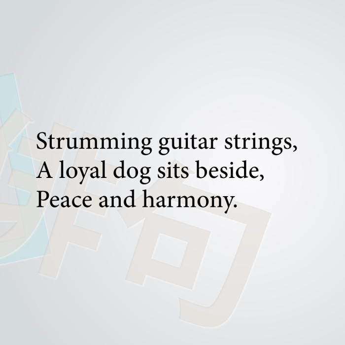 Strumming guitar strings, A loyal dog sits beside, Peace and harmony.