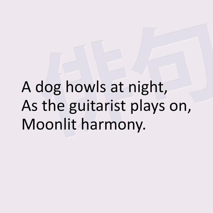 A dog howls at night, As the guitarist plays on, Moonlit harmony.
