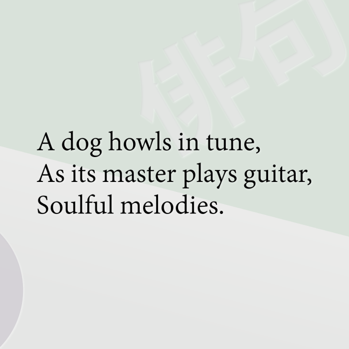 A dog howls in tune, As its master plays guitar, Soulful melodies.