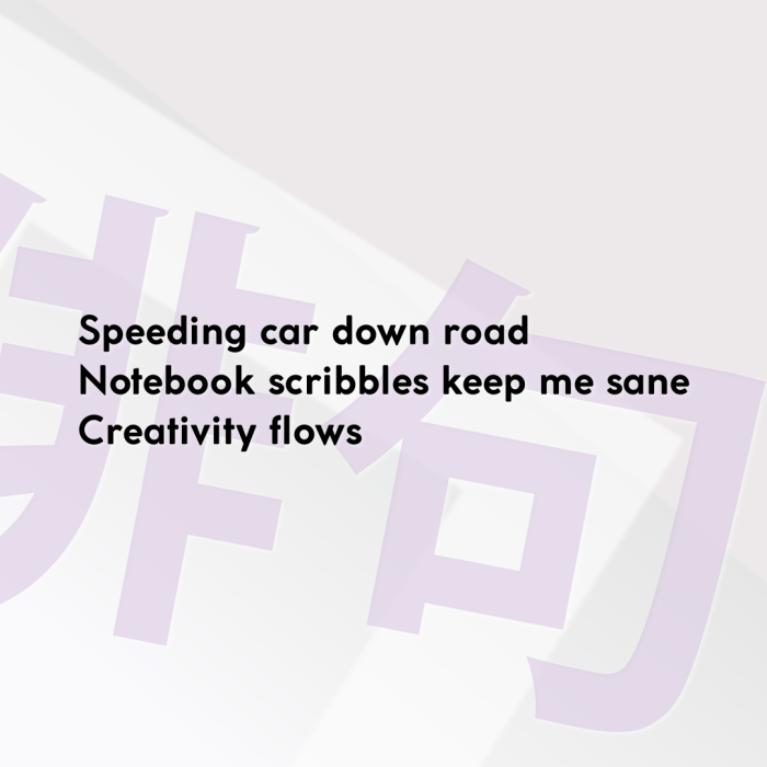 Speeding car down road Notebook scribbles keep me sane Creativity flows
