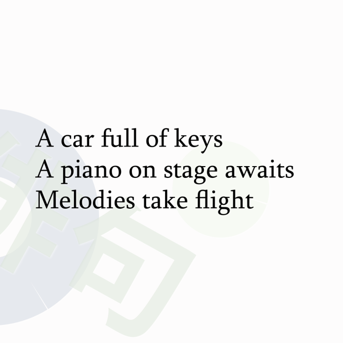 A car full of keys A piano on stage awaits Melodies take flight