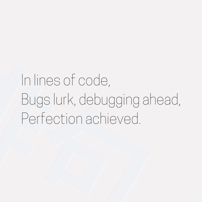 In lines of code, Bugs lurk, debugging ahead, Perfection achieved.