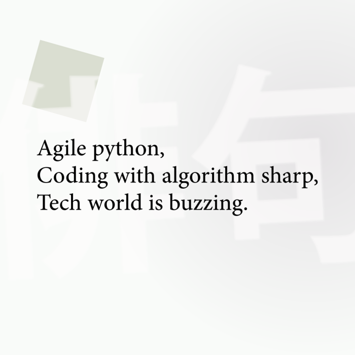 Agile python, Coding with algorithm sharp, Tech world is buzzing.