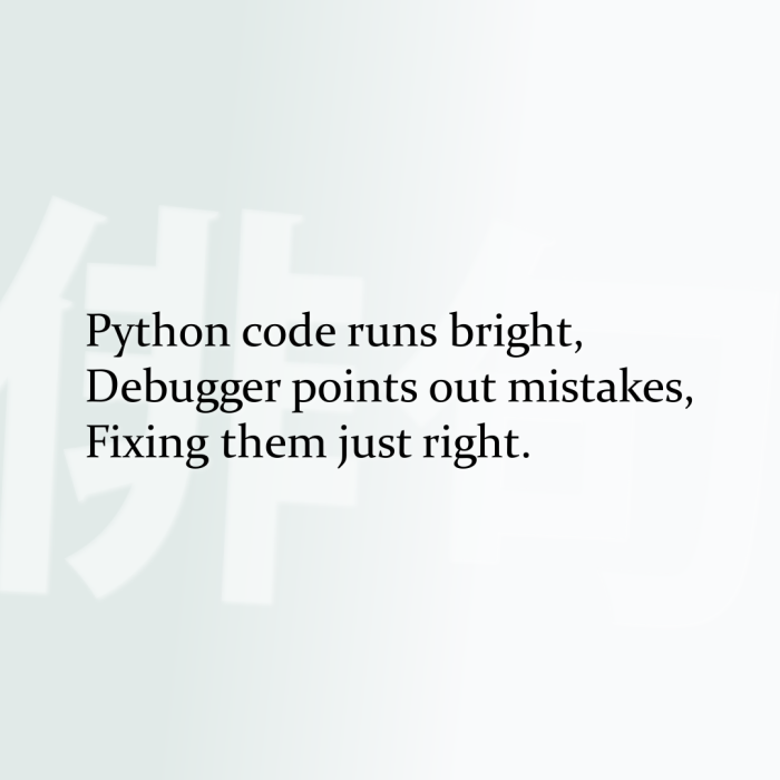 Python code runs bright, Debugger points out mistakes, Fixing them just right.