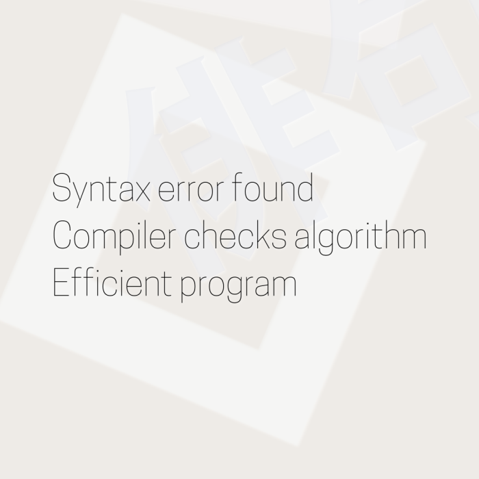 Syntax error found Compiler checks algorithm Efficient program