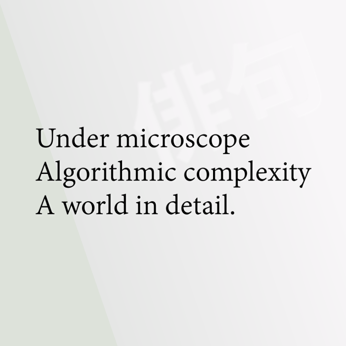 Under microscope Algorithmic complexity A world in detail.