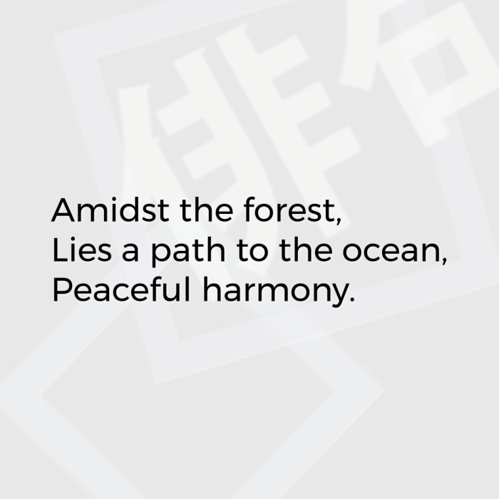 Amidst the forest, Lies a path to the ocean, Peaceful harmony.