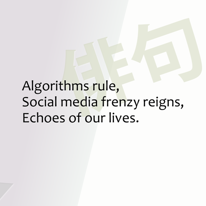 Algorithms rule, Social media frenzy reigns, Echoes of our lives.