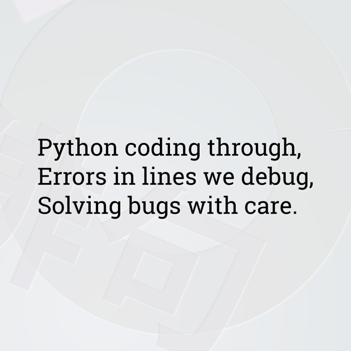 Python coding through, Errors in lines we debug, Solving bugs with care.