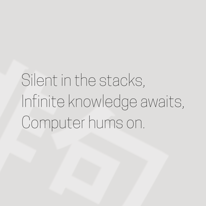 Silent in the stacks, Infinite knowledge awaits, Computer hums on.