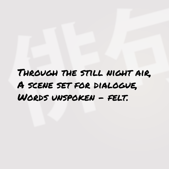 Through the still night air, A scene set for dialogue, Words unspoken - felt.