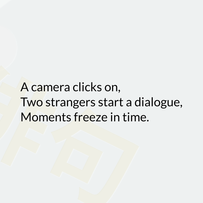 A camera clicks on, Two strangers start a dialogue, Moments freeze in time.