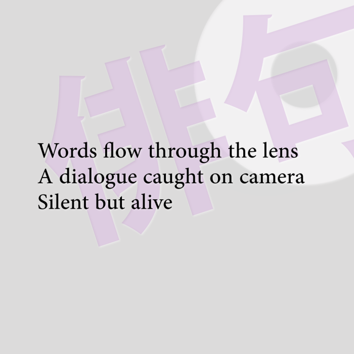 Words flow through the lens A dialogue caught on camera Silent but alive