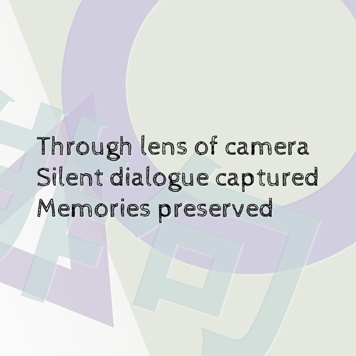 Through lens of camera Silent dialogue captured Memories preserved