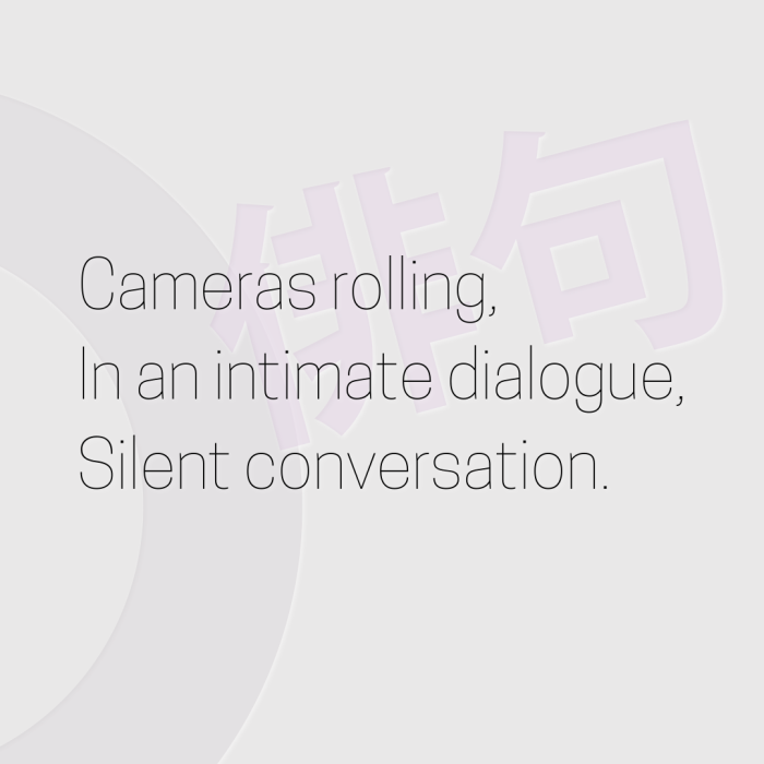 Cameras rolling, In an intimate dialogue, Silent conversation.