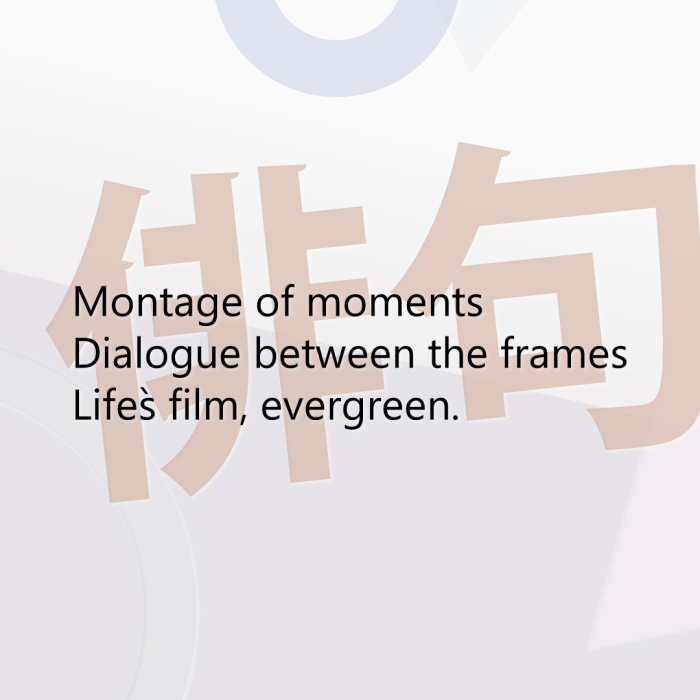 Montage of moments Dialogue between the frames Life`s film, evergreen.