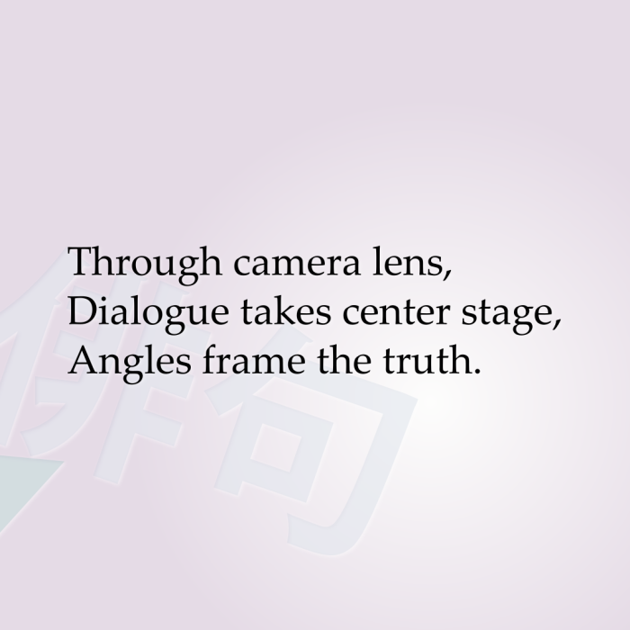 Through camera lens, Dialogue takes center stage, Angles frame the truth.