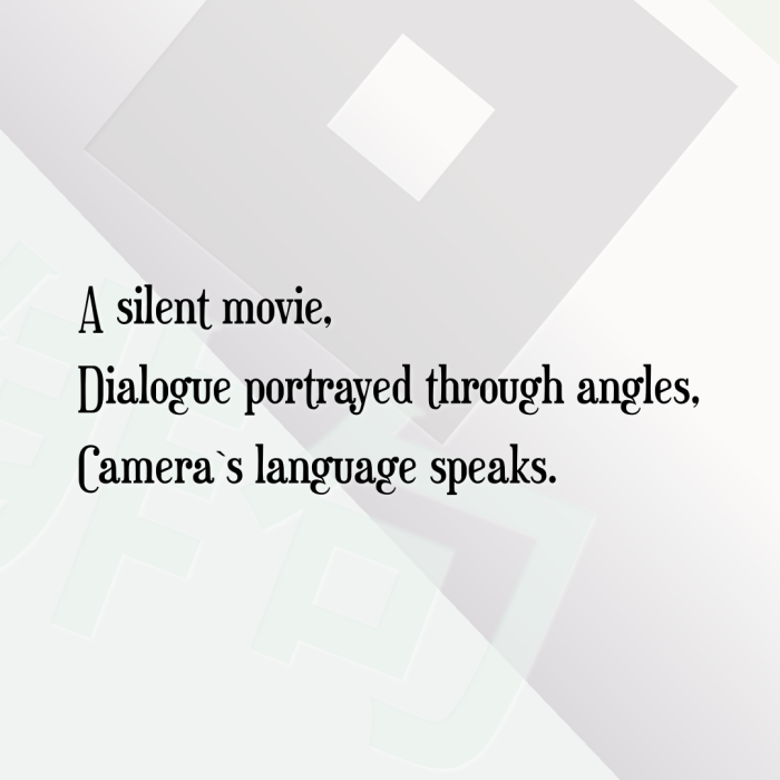A silent movie, Dialogue portrayed through angles, Camera`s language speaks.