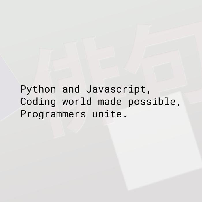 Python and Javascript, Coding world made possible, Programmers unite.