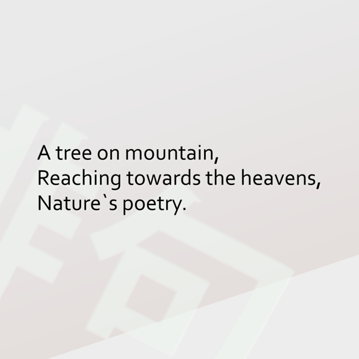 A tree on mountain, Reaching towards the heavens, Nature`s poetry.
