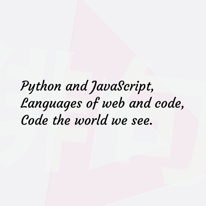 Python and JavaScript, Languages of web and code, Code the world we see.