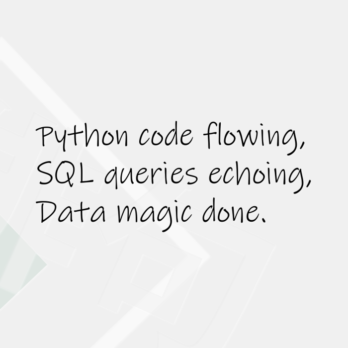 Python code flowing, SQL queries echoing, Data magic done.