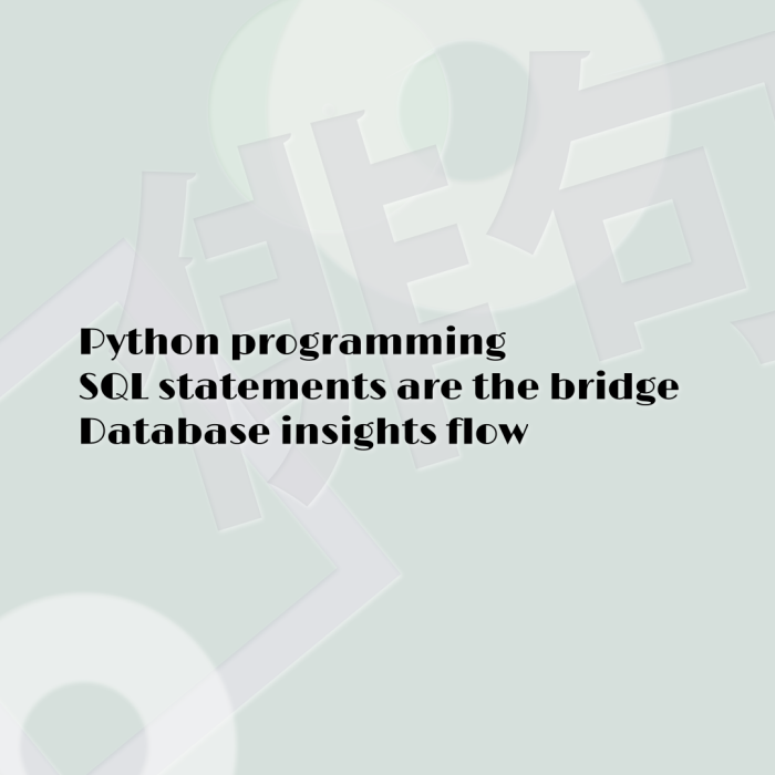 Python programming SQL statements are the bridge Database insights flow