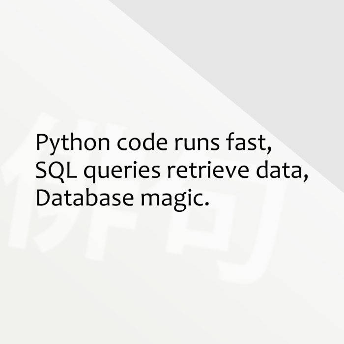 Python code runs fast, SQL queries retrieve data, Database magic.