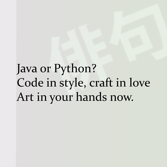 Java or Python? Code in style, craft in love Art in your hands now.