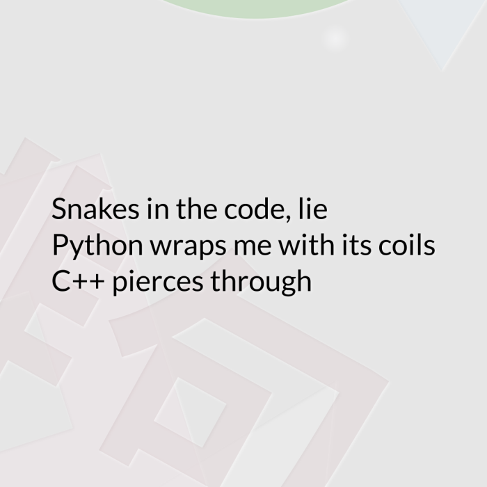 Snakes in the code, lie Python wraps me with its coils C++ pierces through