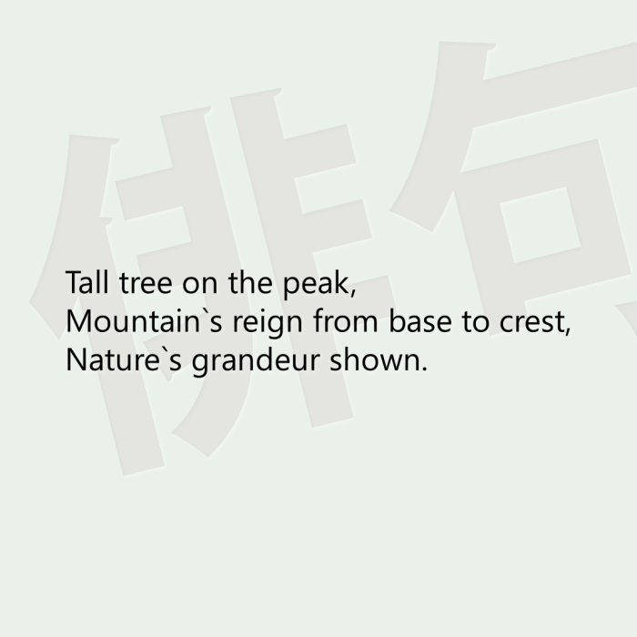 Tall tree on the peak, Mountain`s reign from base to crest, Nature`s grandeur shown.