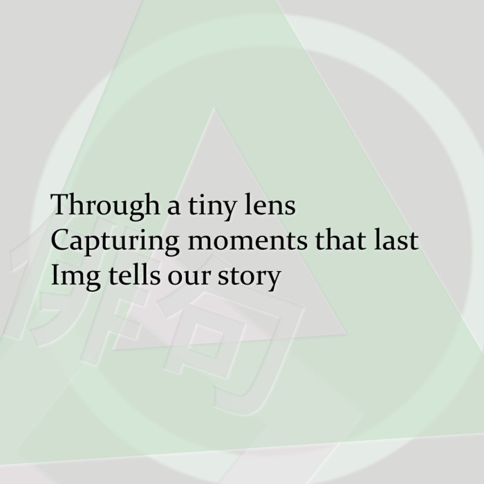 Through a tiny lens Capturing moments that last Img tells our story