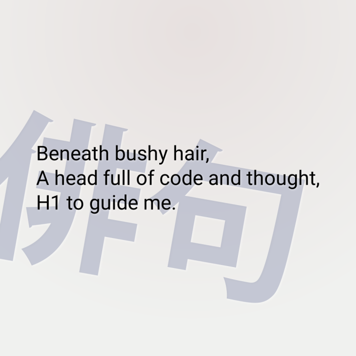 Beneath bushy hair, A head full of code and thought, H1 to guide me.