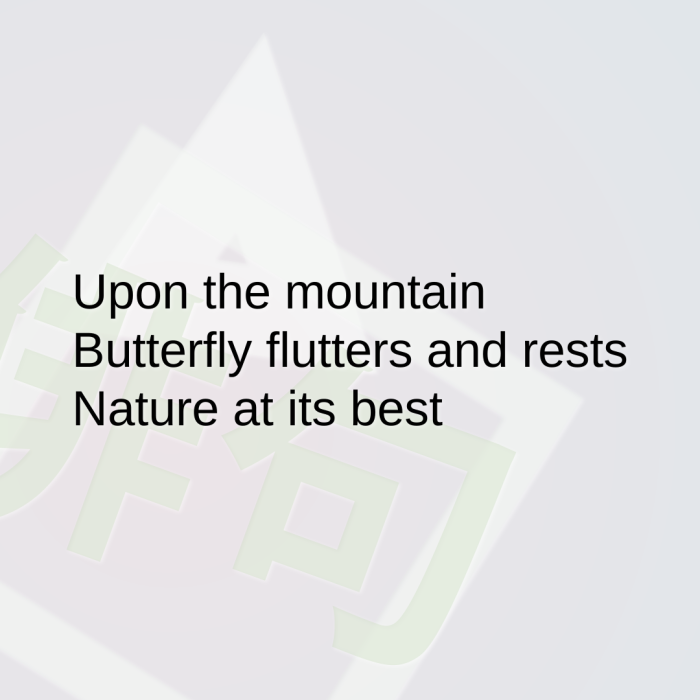 Upon the mountain Butterfly flutters and rests Nature at its best