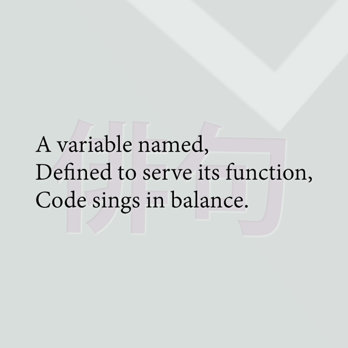 A variable named, Defined to serve its function, Code sings in balance.
