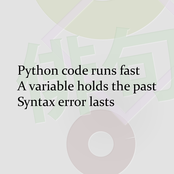 Python code runs fast A variable holds the past Syntax error lasts