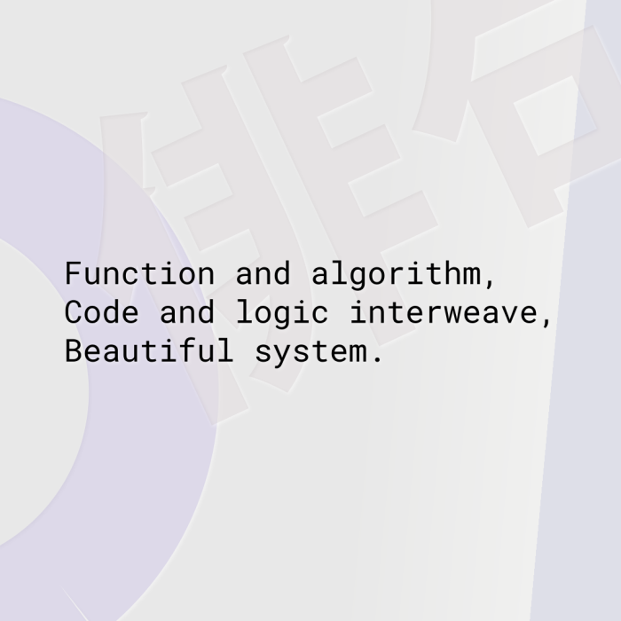 Function and algorithm, Code and logic interweave, Beautiful system.