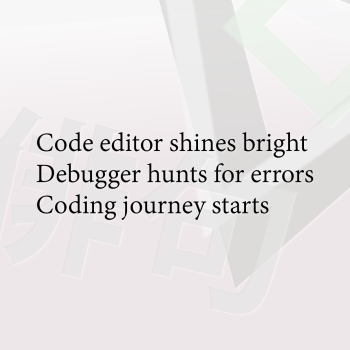 Code editor shines bright Debugger hunts for errors Coding journey starts