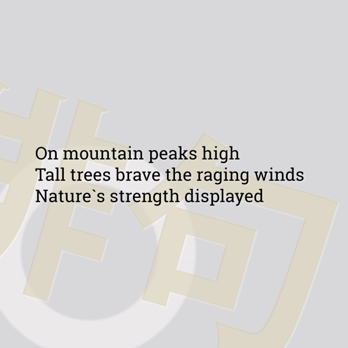 On mountain peaks high Tall trees brave the raging winds Nature`s strength displayed