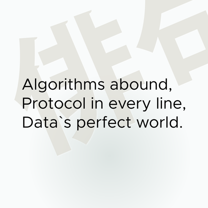 Algorithms abound, Protocol in every line, Data`s perfect world.