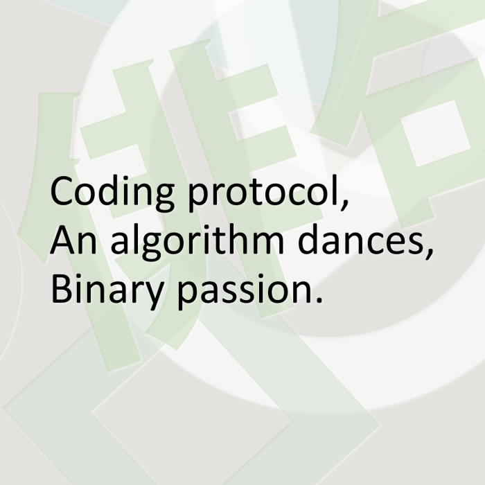 Coding protocol, An algorithm dances, Binary passion.