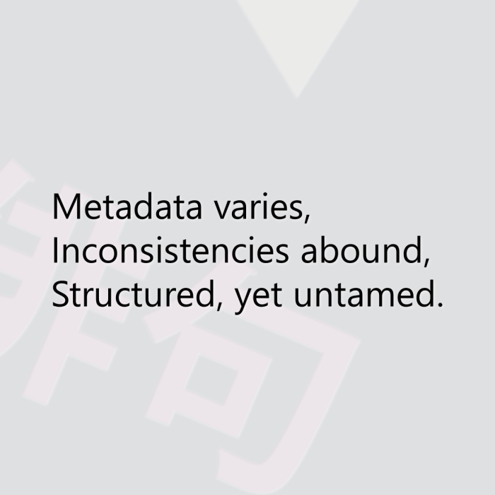 Metadata varies, Inconsistencies abound, Structured, yet untamed.