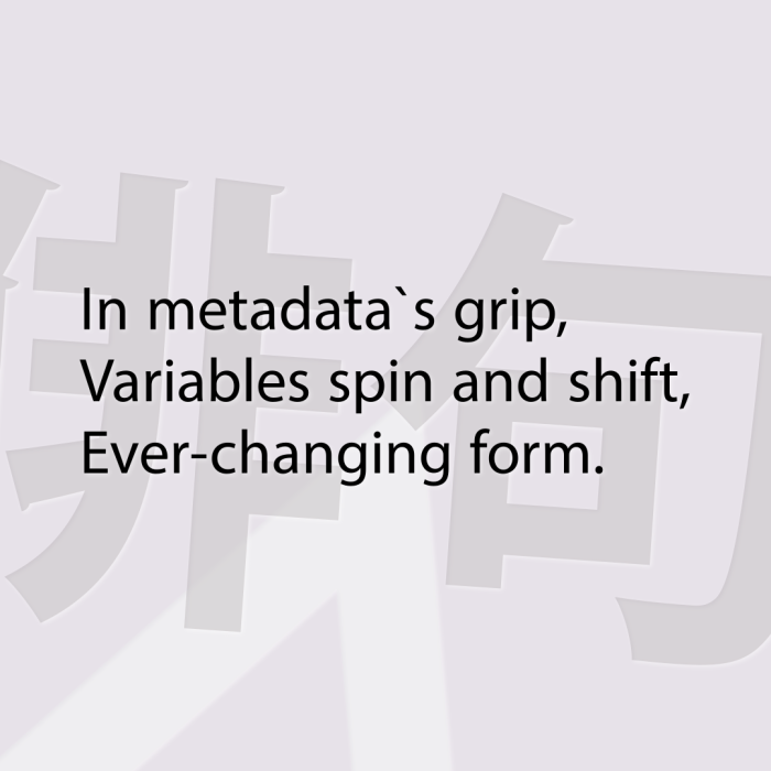 In metadata`s grip, Variables spin and shift, Ever-changing form.