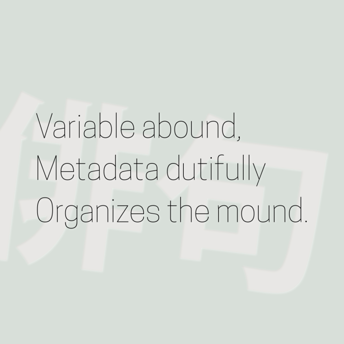 Variable abound, Metadata dutifully Organizes the mound.