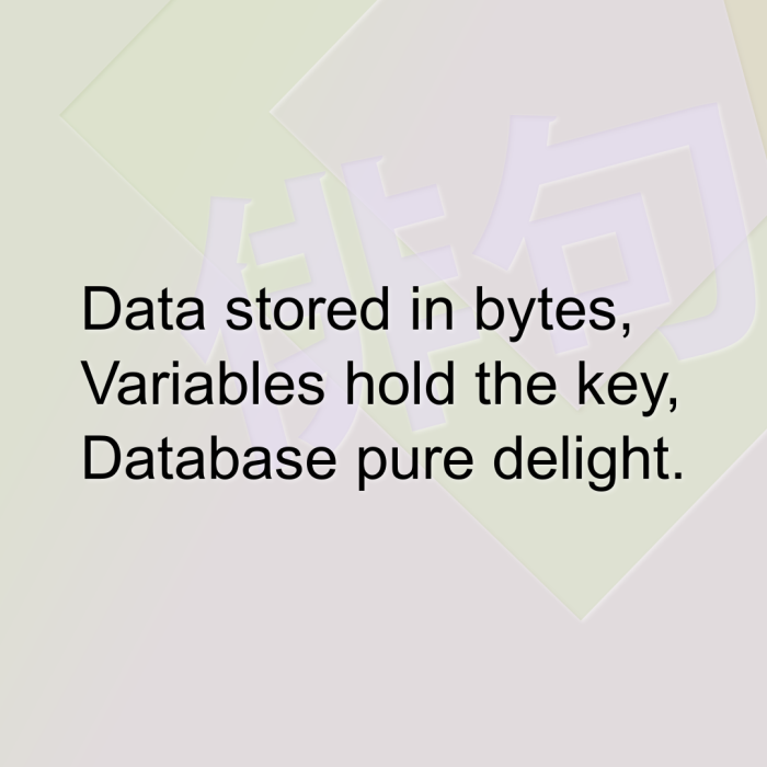 Data stored in bytes, Variables hold the key, Database pure delight.