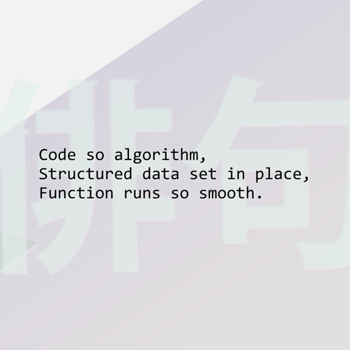 Code so algorithm, Structured data set in place, Function runs so smooth.