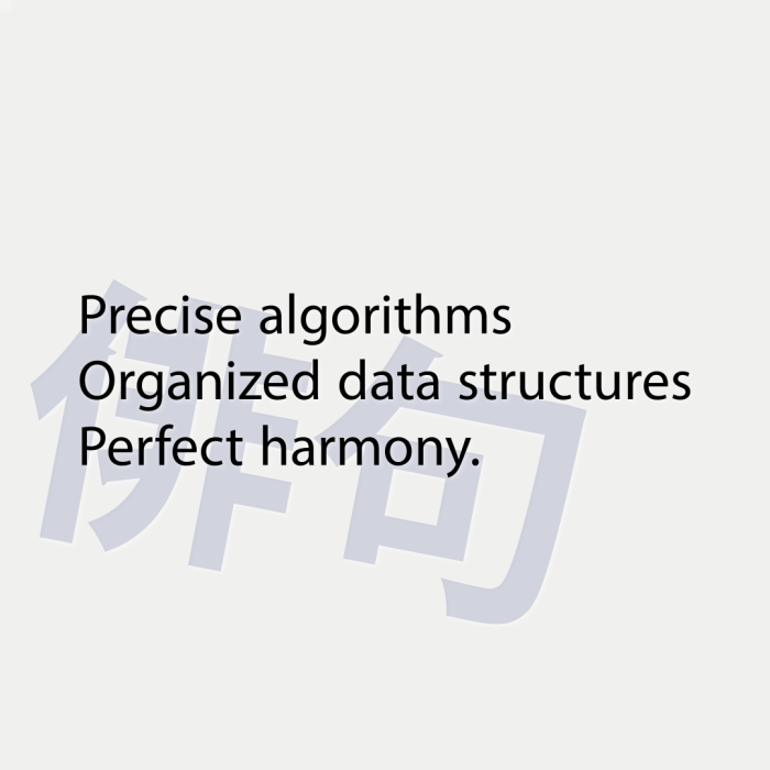 Precise algorithms Organized data structures Perfect harmony.