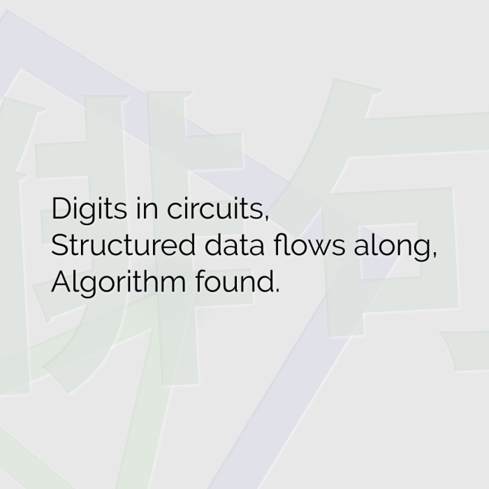 Digits in circuits, Structured data flows along, Algorithm found.